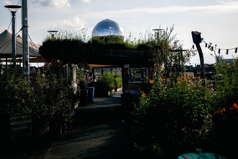 Klunkerkranich