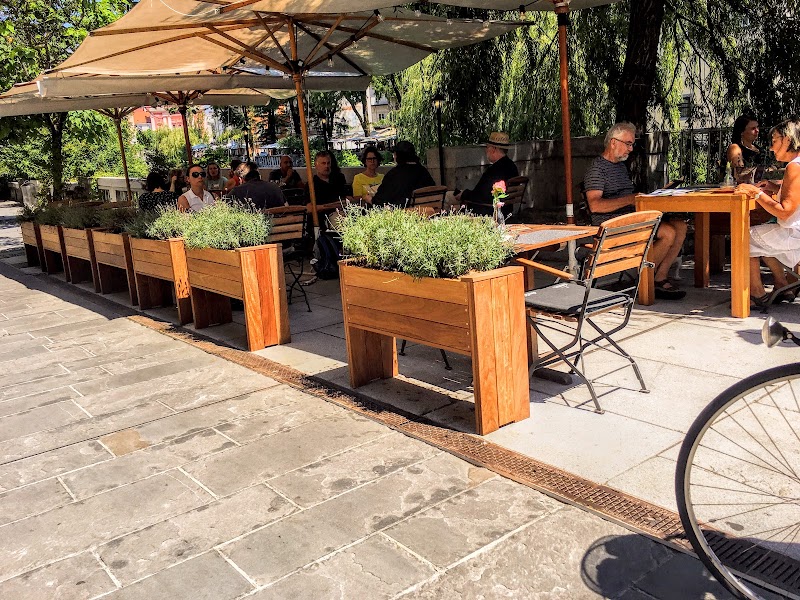 Dvorni bar