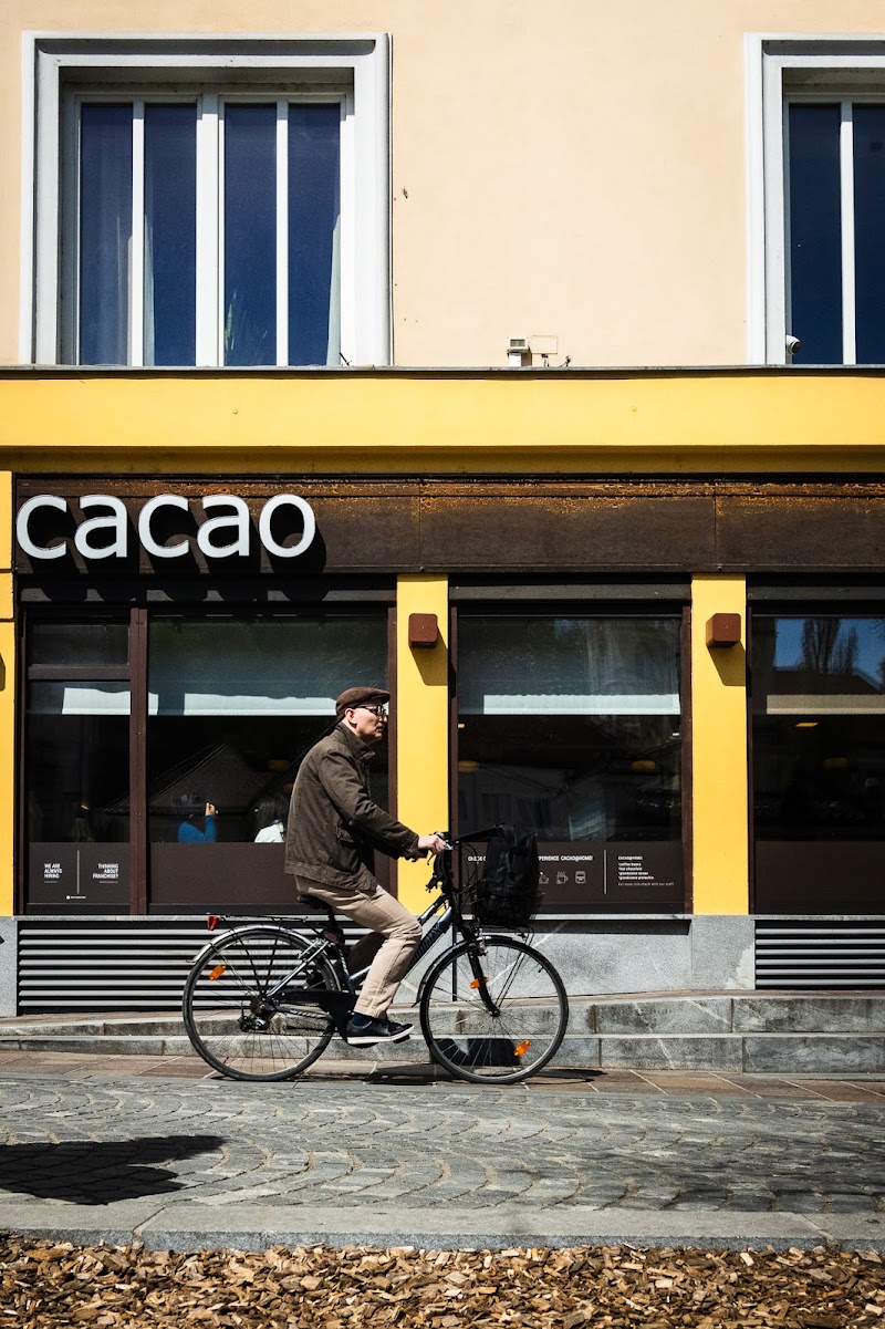 Cacao